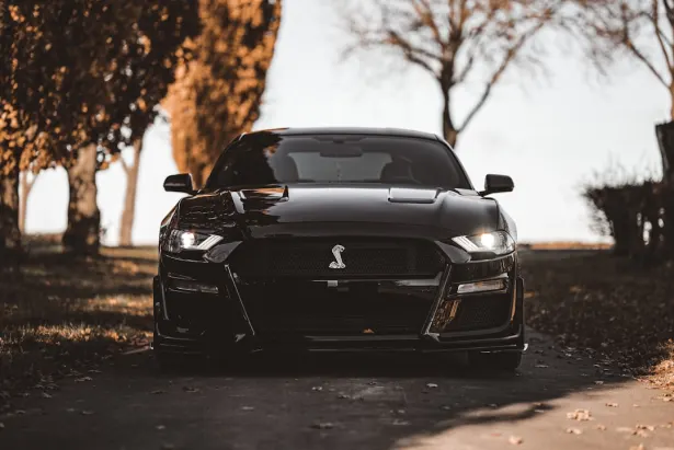 Kazino Golden Palace Android/iOS Lietotne